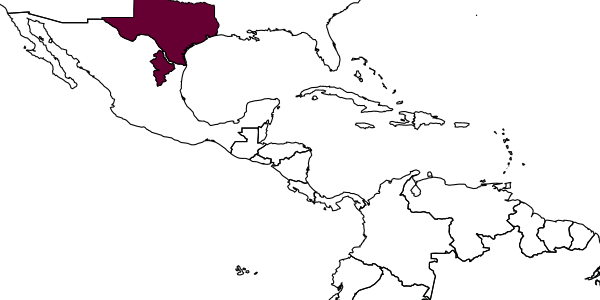 map of Agathirsia tiro     Pucci & Sharkey, 2004